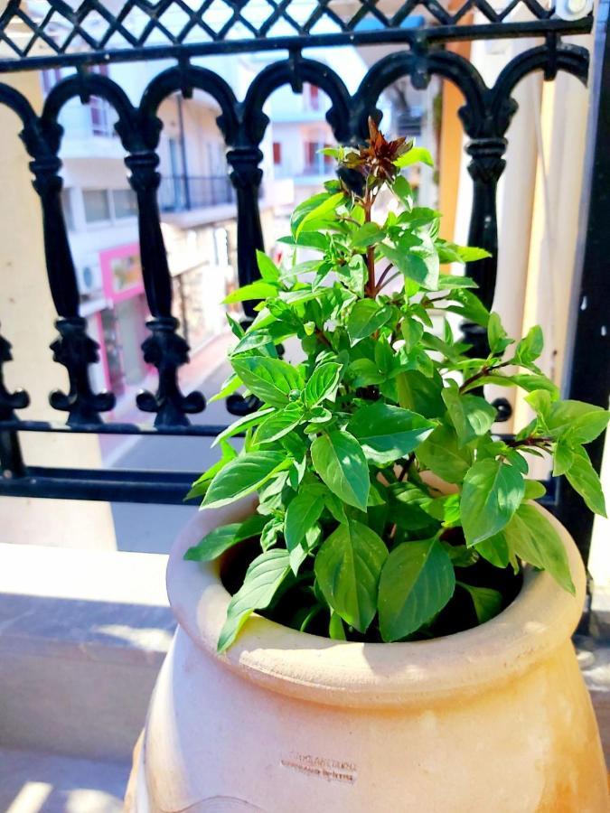 Sitia City Center Luxury Apartment エクステリア 写真